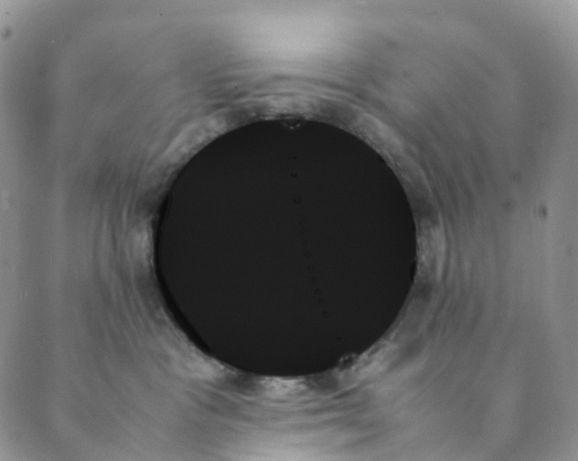 X0000089350333200707061031