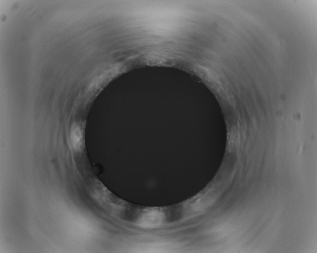 X0000089350335200707061031