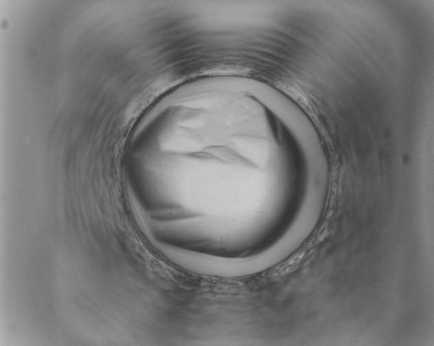 X0000089350337200707061030