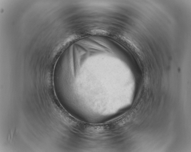 X0000089350353200707061030