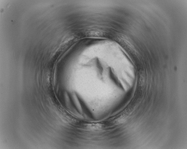 X0000089350363200707061030