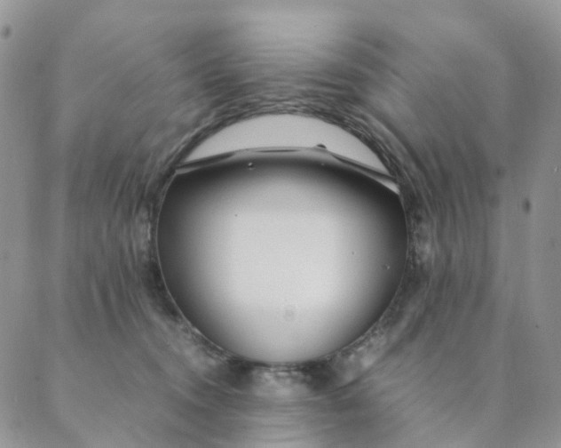 X0000089350372200707061030