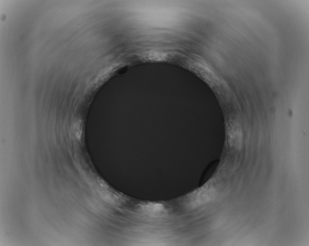 X0000089350374200707061030