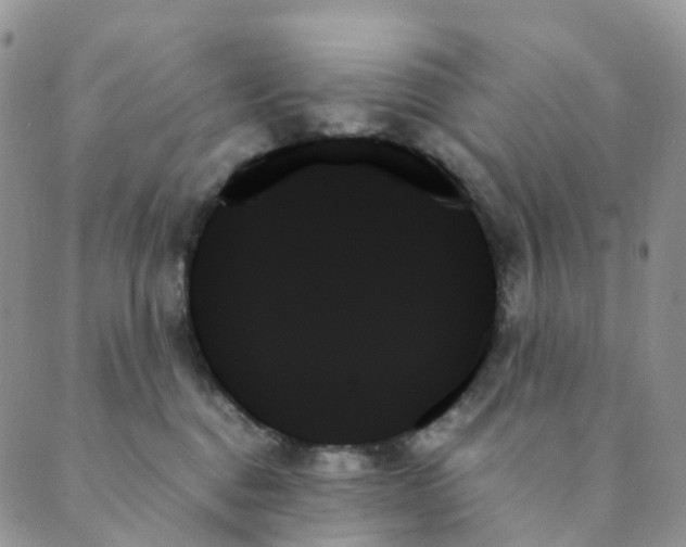 X0000089350376200707061030