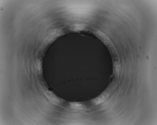 X0000089350380200707061030