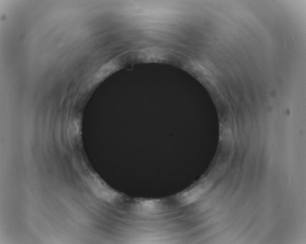 X0000089350382200707061030