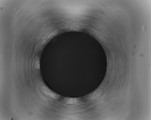 X0000089350384200707061031