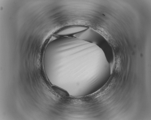 X0000089350392200707061030