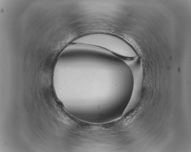 X0000089350393200707061030