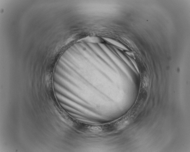 X0000089350409200707061029