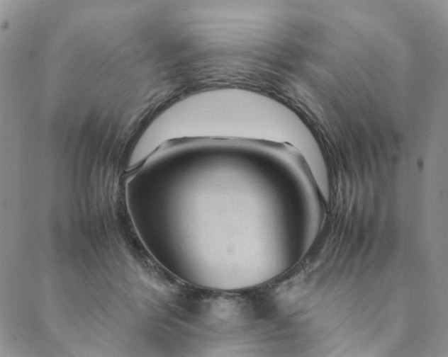 X0000089350412200707061029