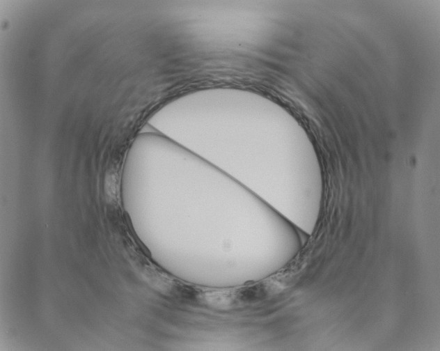 X0000089350417200707061029