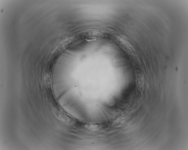 X0000089350419200707061029