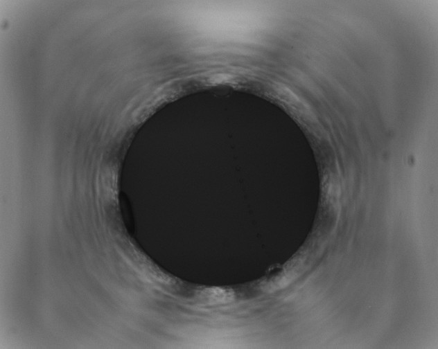 X0000089350421200707061029