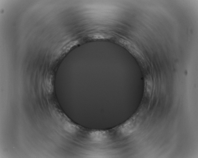 X0000089350422200707061029