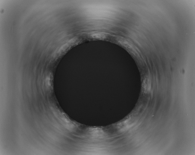 X0000089350424200707061029