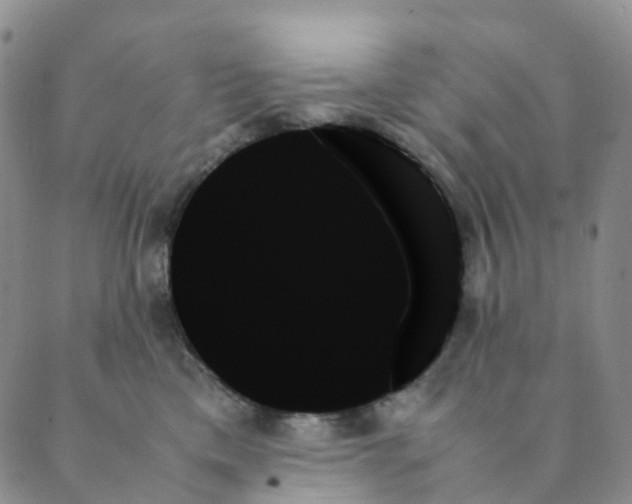 X0000089350425200707061029