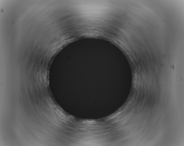 X0000089350428200707061029