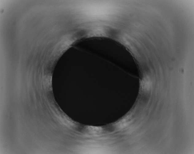 X0000089350429200707061029
