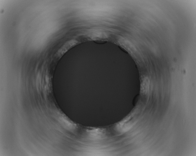 X0000089350430200707061029