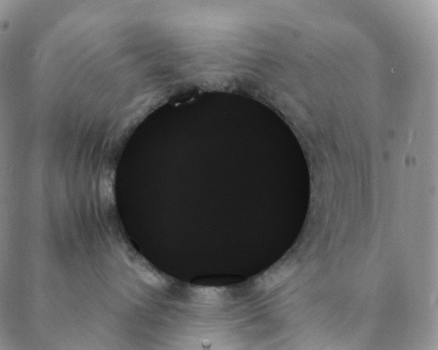 X0000089350432200707061029