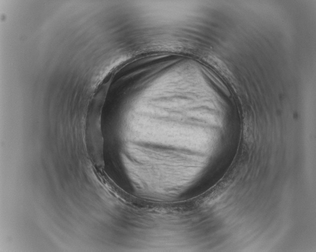 X0000089350434200707061028