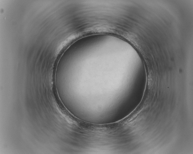X0000089350438200707061028