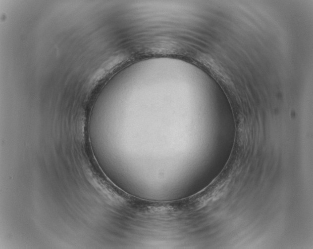 X0000089350446200707061028