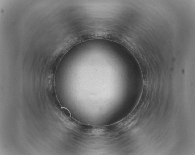 X0000089350462200707061029