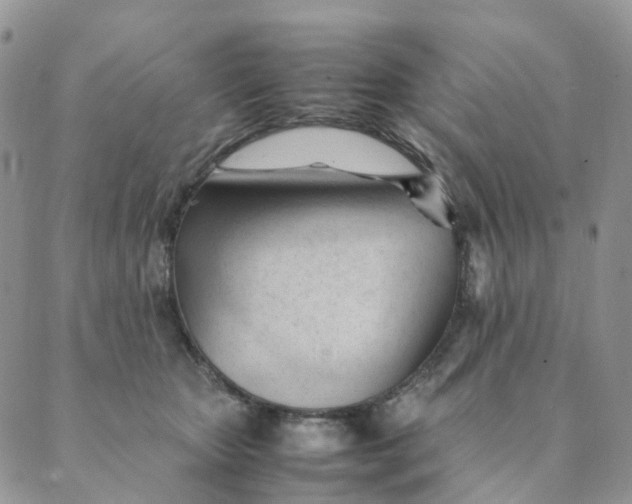 X0000089350467200707061029