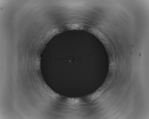 X0000089350469200707061029