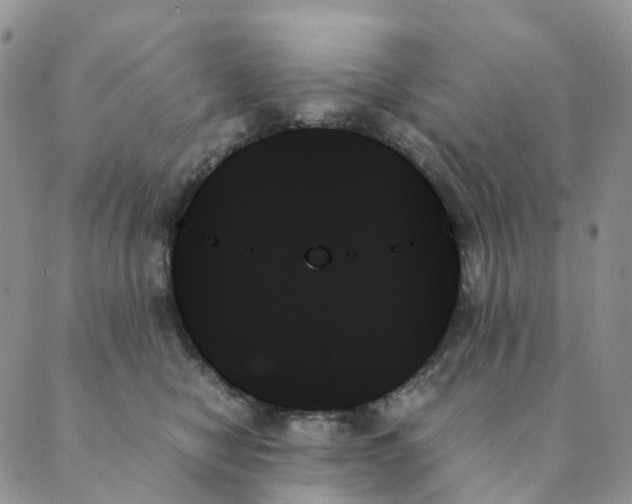 X0000089350470200707061029