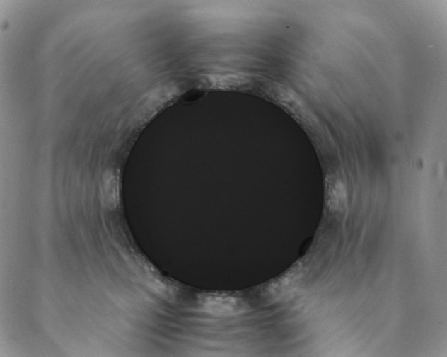 X0000089350471200707061029