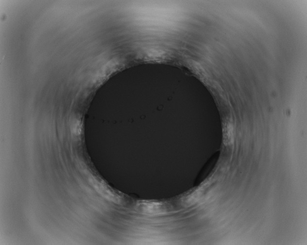 X0000089350472200707061029