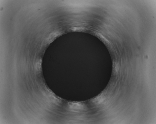 X0000089350475200707061029