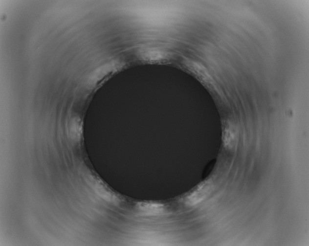 X0000089350476200707061029
