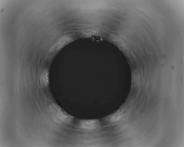 X0000089350479200707061029
