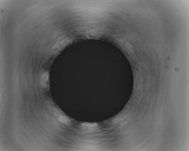 X0000089350480200707061029