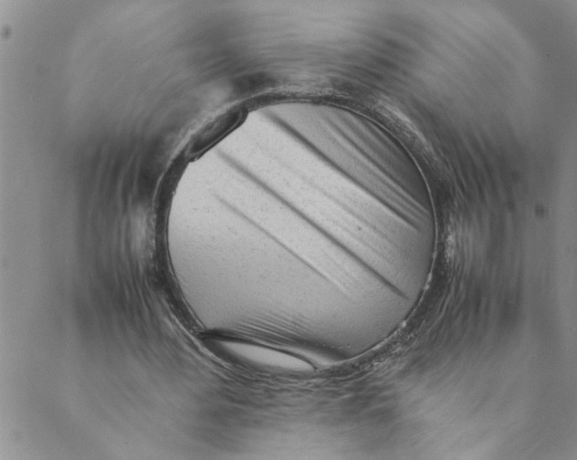 X0000089350484200707061028