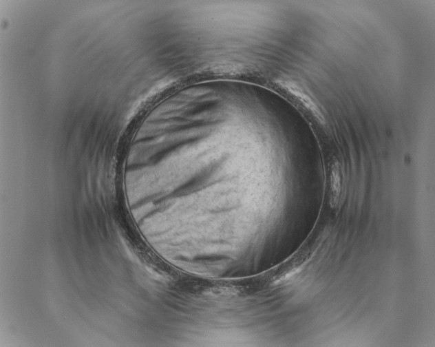 X0000089350492200707061028
