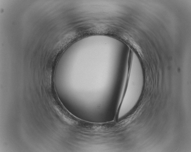 X0000089350493200707061028