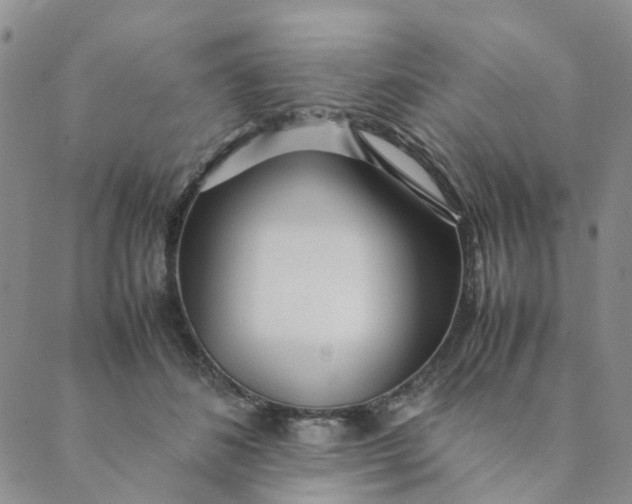X0000089350508200707061028