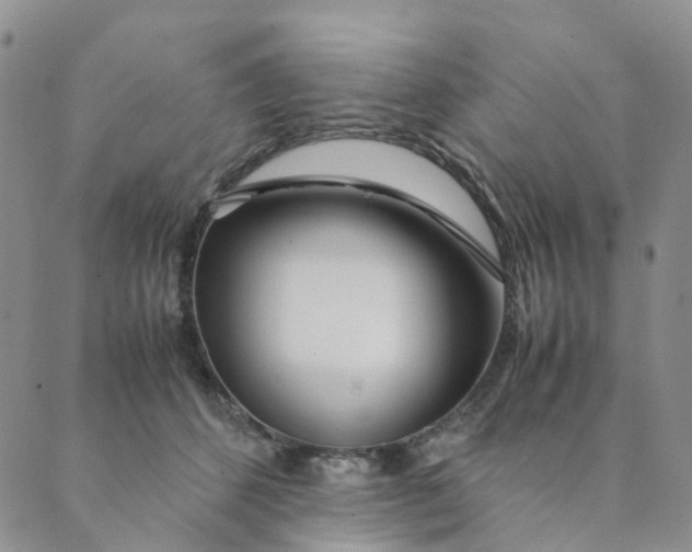 X0000089350512200707061028