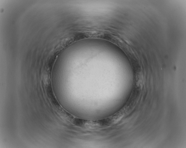 X0000089350515200707061028