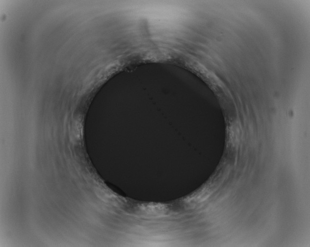 X0000089350517200707061028