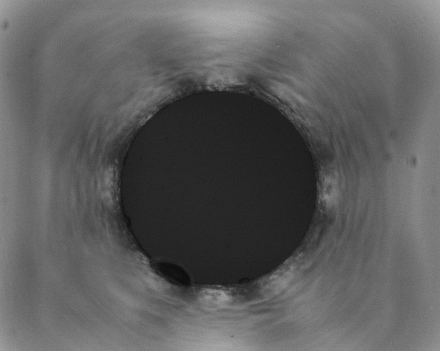 X0000089350519200707061028