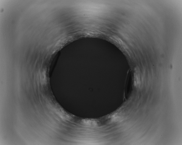 X0000089350520200707061028