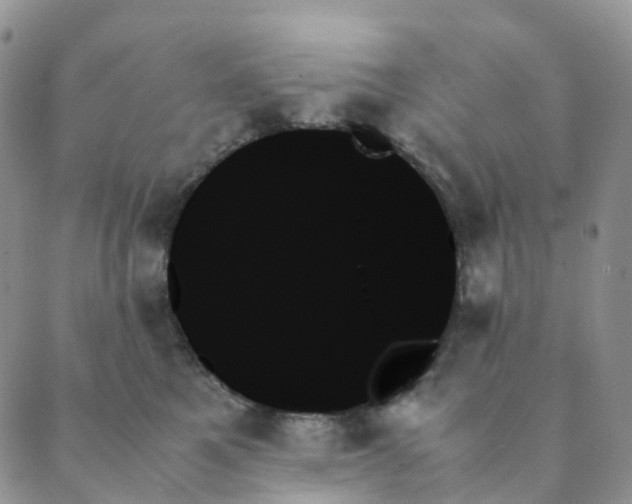 X0000089350521200707061028