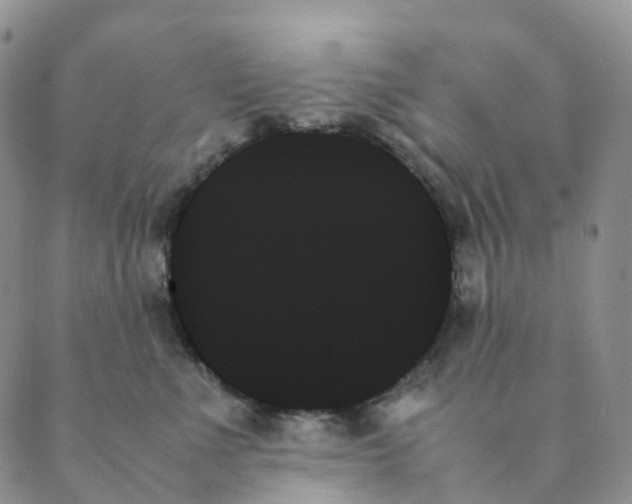 X0000089350523200707061027