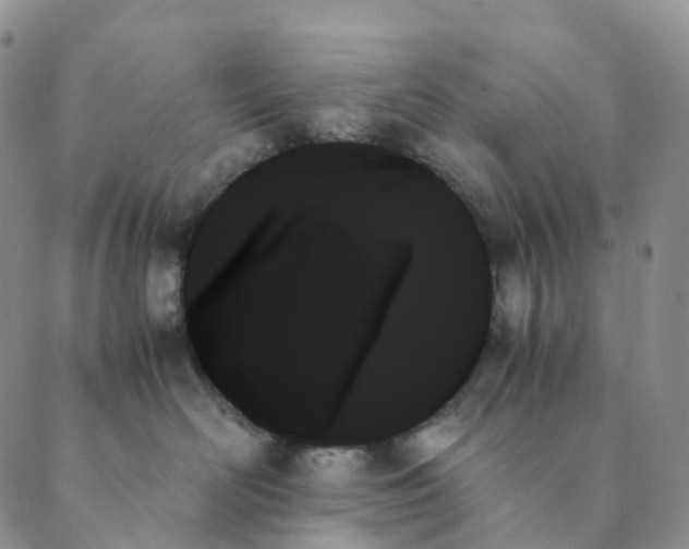 X0000089350526200707061027